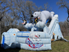 Polar Bear Arctic Plunge Dual Lane Slide rental in Houston, TX