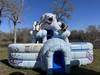 Polar Bear Arctic Plunge Dual Lane Slide rental in Houston, TX