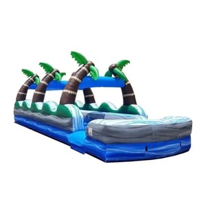 35ft Tropical Palm Dual Lane Slip N Slide rental Houston, TX