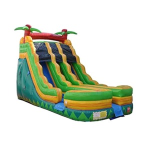 18ft Double Lane Palm Tree Water Slide rental Houston, TX