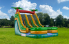 18ft Double Lane Palm Tree Water Slide rental in Houston, TX