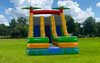 18ft Double Lane Palm Tree Water Slide rental in Houston, TX