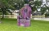 Princess Throne Chair Inflatable rental in Houston, TX