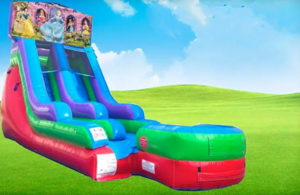 15ft Disney Princess Retro Wet/Dry Slide rental Houston, TX