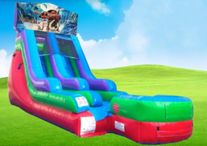 15ft Moana Retro Wet/Dry Slide rental Houston, TX