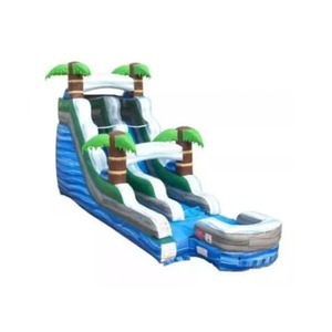 15ft Palm Tree Wet/Dry Slide rental Houston, TX
