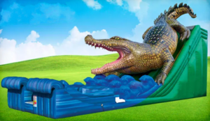 King Croc Wet/Dry Slide rental Houston, TX