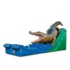 King Croc Wet/Dry Slide rental in Houston, TX