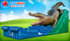 King Croc Wet/Dry Slide rental in Houston, TX