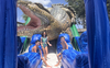 King Croc Wet/Dry Slide rental in Houston, TX