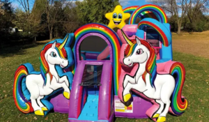 Unicorn Toddler Playzone W Slide rental Houston, TX