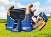 Police Dog Bounce House rental in Houston, TX