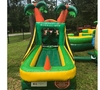 Tropical Luau Carnival Game Station rental in Houston, TX