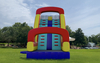 18ft Rock Climb & Dual Lane Dry Slide rental in Houston, TX