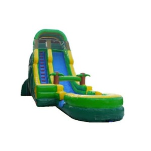 20ft Palm Tree Screamer Slide rental Houston, TX
