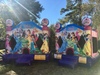 Princess Jumper (Tiny Yard Series) rental in Houston, TX