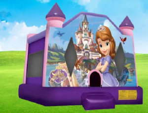Sofia the First Bounce House Moonwalk rental Houston, TX