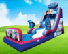 Frozen Slide with Pool (Dry/Wet) rental in Houston, TX