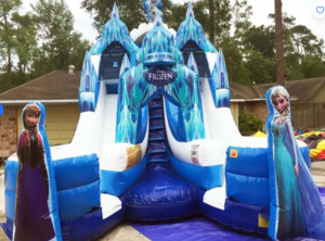 Frozen Double (Dry or Wet/Water Slide) rental Houston, TX