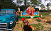 Farmyard Toddler Obstacle rental in Houston, TX