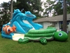 Turtle Beach Slide (Dry/Wet) rental in Houston, TX