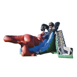 Kongo Crazy T-Rex Double Slide rental Houston, TX
