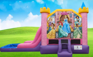 Disney Princesses EZ Bounce House Combo Wet or Dry rental Dallas-Ft. Worth, TX