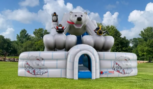 Polar Bear Arctic Plunge Dual Lane Slide rental San Antonio, TX