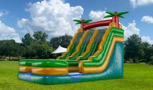 18ft Double Lane Palm Tree Water Slide rental San Antonio, TX
