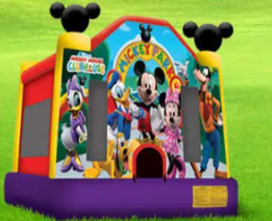 Mickey Jumper (Tiny Yard Series) rental San Antonio, TX