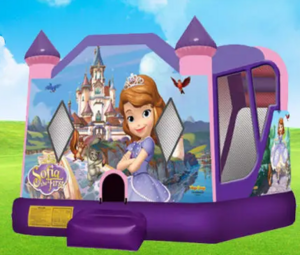 Sofia the First Bounce House Moonwalk rental San Antonio, TX