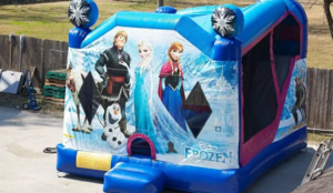 Frozen Bounce House Moonwalk W Slide rental San Antonio, TX