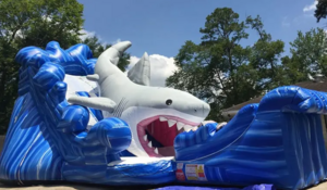 Gone Fish’n Shark Wet/Dry Slide rental San Antonio, TX