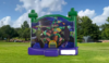 Ninja Turtle Bounce House Combo rental in San Antonio, TX