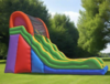 20' Fun Dual Lane Slide rental in Los Angeles, CA