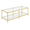 Sheila Gold Coffee Table Rectangle rental in Dallas-Ft. Worth, TX