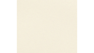 120" Round Ivory Poly rental Houston, TX