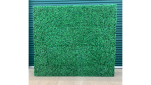 8x8 Boxwood Wall rental Houston, TX