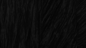 90x156" Black Accordion rental Houston, TX