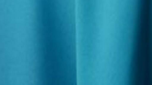 Aqua Dinner Napkin rental Houston, TX