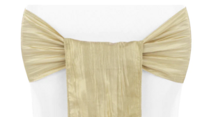 Champagne Sash rental Houston, TX