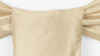 Champagne Satin Sash rental in Houston, TX