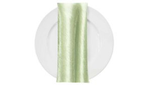 Mint Green Satin Dinner Napkin rental Houston, TX