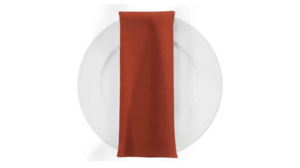 Rust Poly Dinner Napkin rental Houston, TX