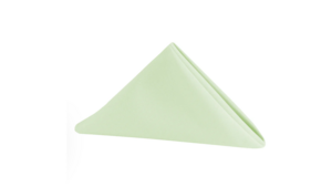 Sage Green Poly Dinner Napkin rental Houston, TX