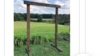 Table Arch rental in Denver, CO