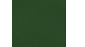 Moss Green Poly Napkin |  rental Denver, CO