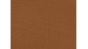 Copper Poly Napkin  rental Denver, CO