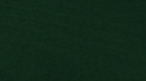 120" Forest Green Poly Linen rental Denver, CO