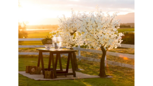 Illuminated White LED Tree  rental Denver, CO